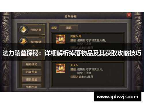法力陵墓探秘：详细解析掉落物品及其获取攻略技巧